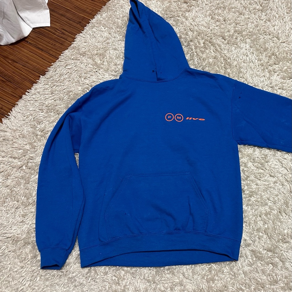 GOV BALL post malone hoodie!